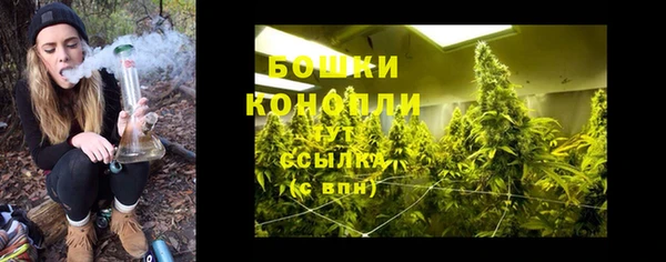 гидра Лихославль
